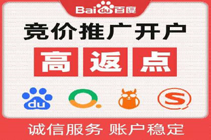 SEO百度推广策略：成功案例解析